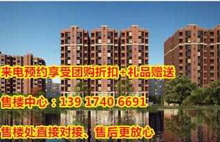 娄底碧桂园爆料最新消息,揭秘项目进展与未来规划