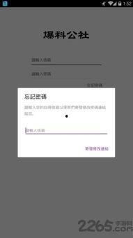 最新版本爆料分析软件,软件功能革新与用户体验升级深度解析