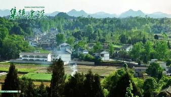 遵义凤冈爆料事件最新,真相追踪与舆论漩涡