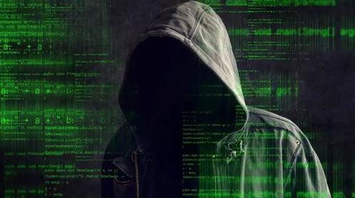 黑客爆料图片大全最新