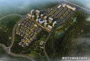 平湖最新爆料事件,揭秘事件背后惊人真相