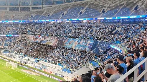 青岛北看台爆料最新消息,揭秘赛事幕后精彩瞬间